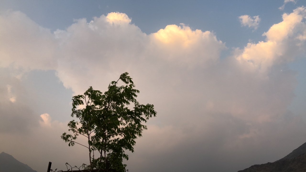 مشاركاتي في أنت الراصد