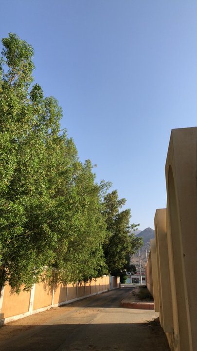 مشاركاتي في أنت الراصد