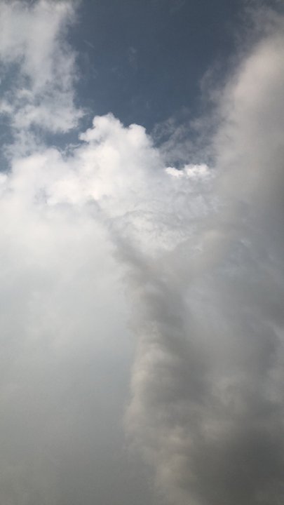 مشاركاتي في أنت الراصد