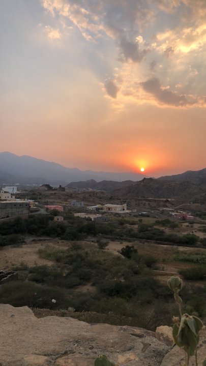 مشاركاتي في أنت الراصد