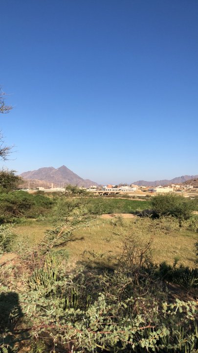 مشاركاتي في أنت الراصد