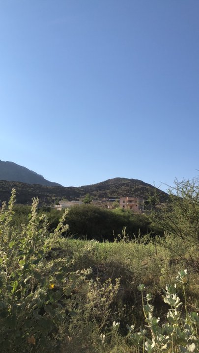 مشاركاتي في أنت الراصد