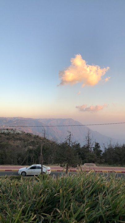 مشاركاتي في أنت الراصد