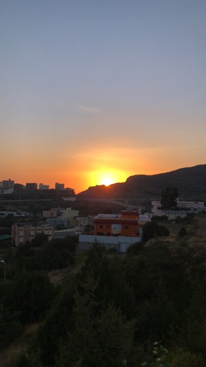 مشاركاتي في أنت الراصد