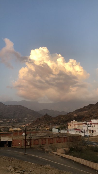 مشاركاتي في أنت الراصد