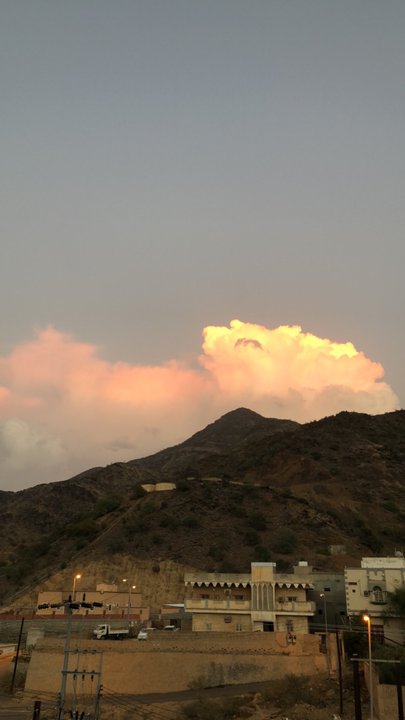 مشاركاتي في أنت الراصد