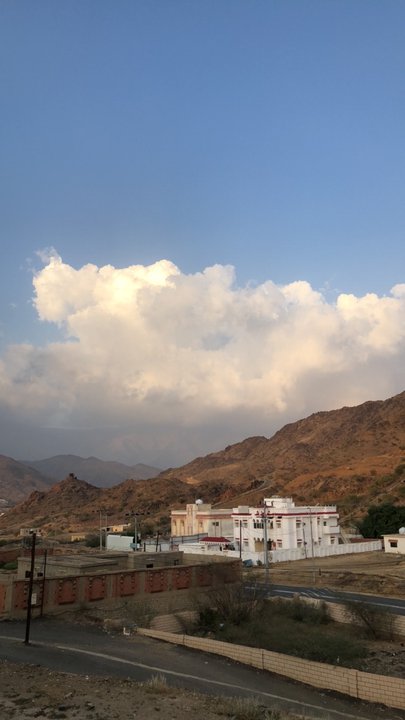 مشاركاتي في أنت الراصد