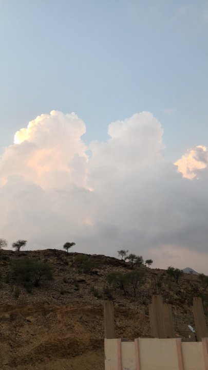 مشاركاتي في أنت الراصد