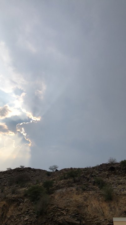 مشاركاتي في أنت الراصد