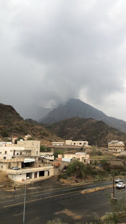 مشاركاتي في أنت الراصد