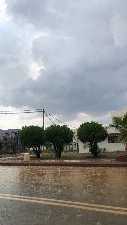 مشاركاتي في أنت الراصد