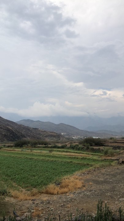 مشاركاتي في أنت الراصد