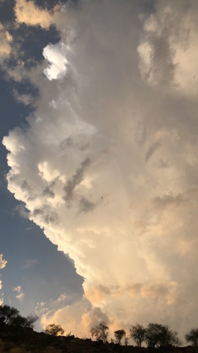 مشاركاتي في أنت الراصد