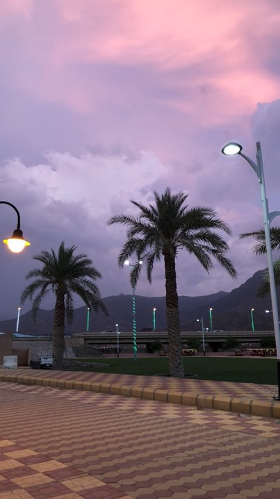 مشاركاتي في أنت الراصد