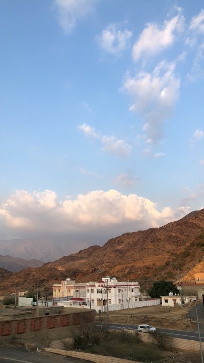 مشاركاتي في أنت الراصد