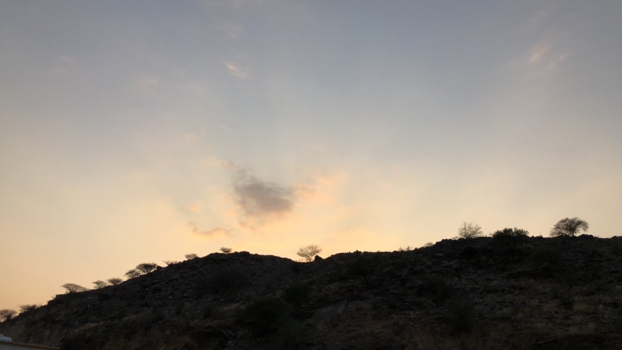 مشاركاتي في أنت الراصد