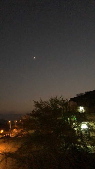 مشاركاتي في أنت الراصد