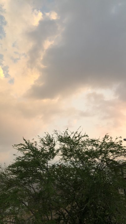 مشاركاتي في أنت الراصد