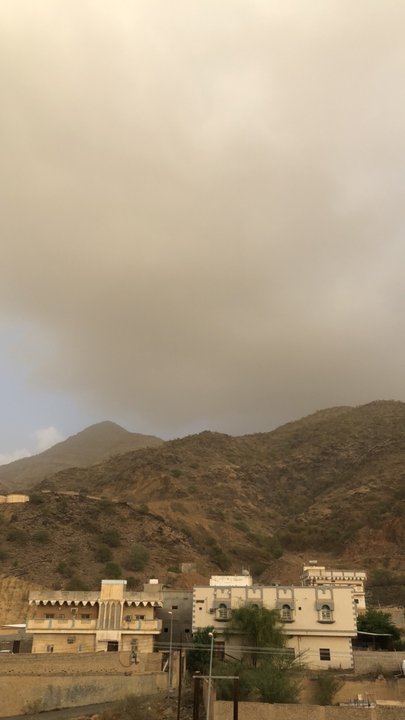 مشاركاتي في أنت الراصد