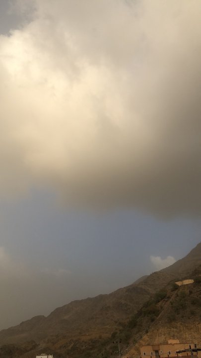 مشاركاتي في أنت الراصد