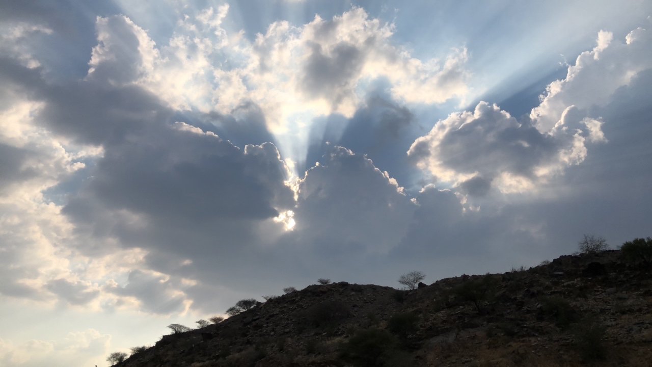 مشاركاتي في أنت الراصد