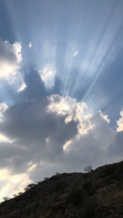 مشاركاتي في أنت الراصد