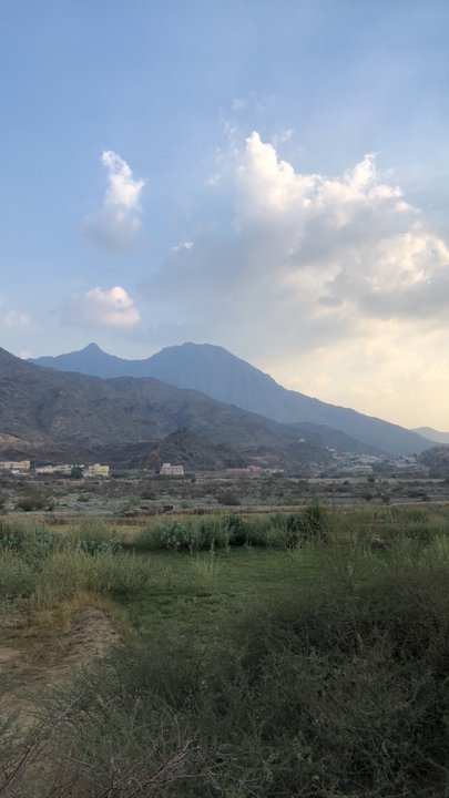 مشاركاتي في أنت الراصد