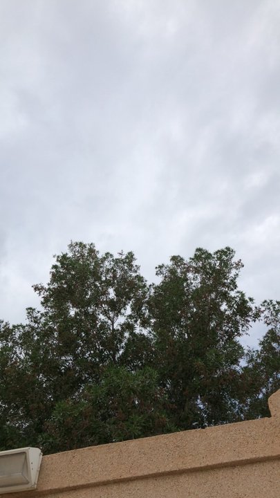 مشاركاتي في أنت الراصد