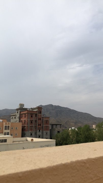 مشاركاتي في أنت الراصد