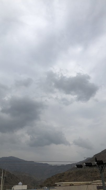 مشاركاتي في أنت الراصد