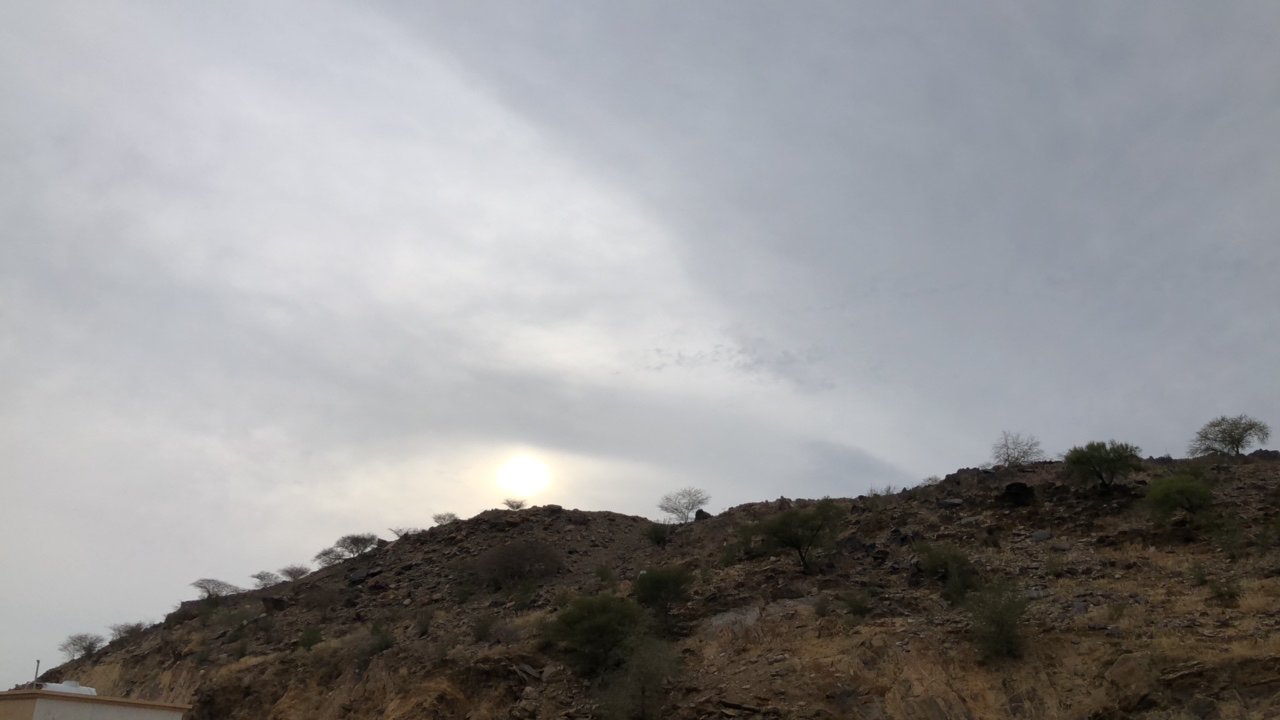 مشاركاتي في أنت الراصد