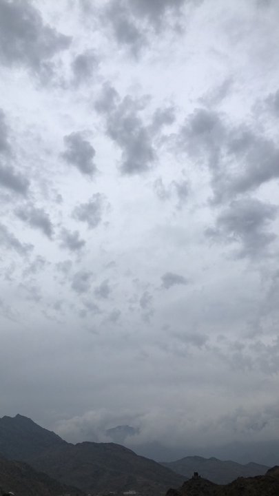 مشاركاتي في أنت الراصد