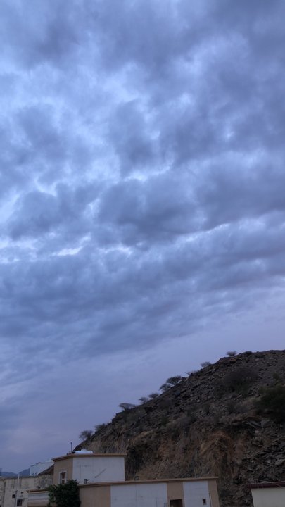 مشاركاتي في أنت الراصد