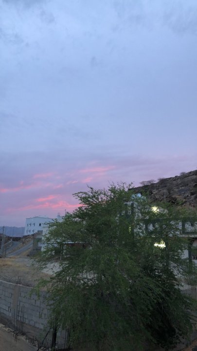 مشاركاتي في أنت الراصد