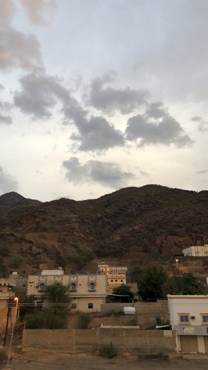 مشاركاتي في أنت الراصد