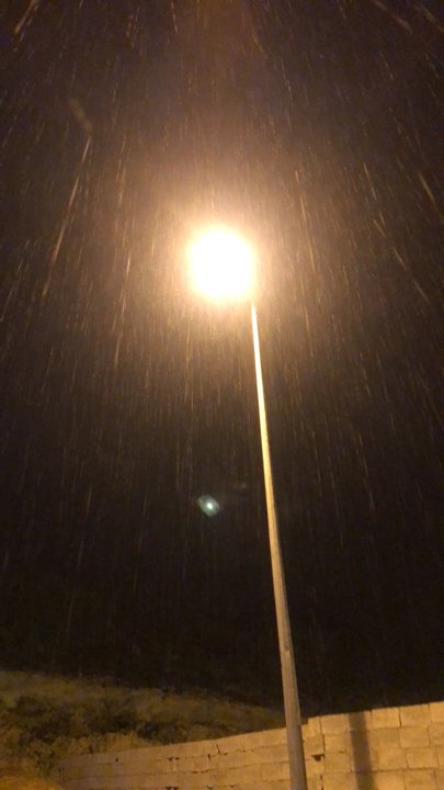 مشاركاتي في أنت الراصد