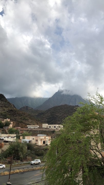 مشاركاتي في أنت الراصد