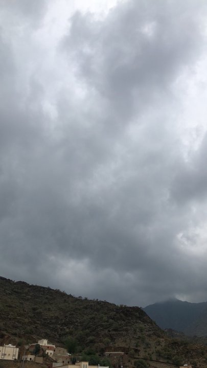 مشاركاتي في أنت الراصد