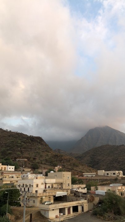 مشاركاتي في أنت الراصد