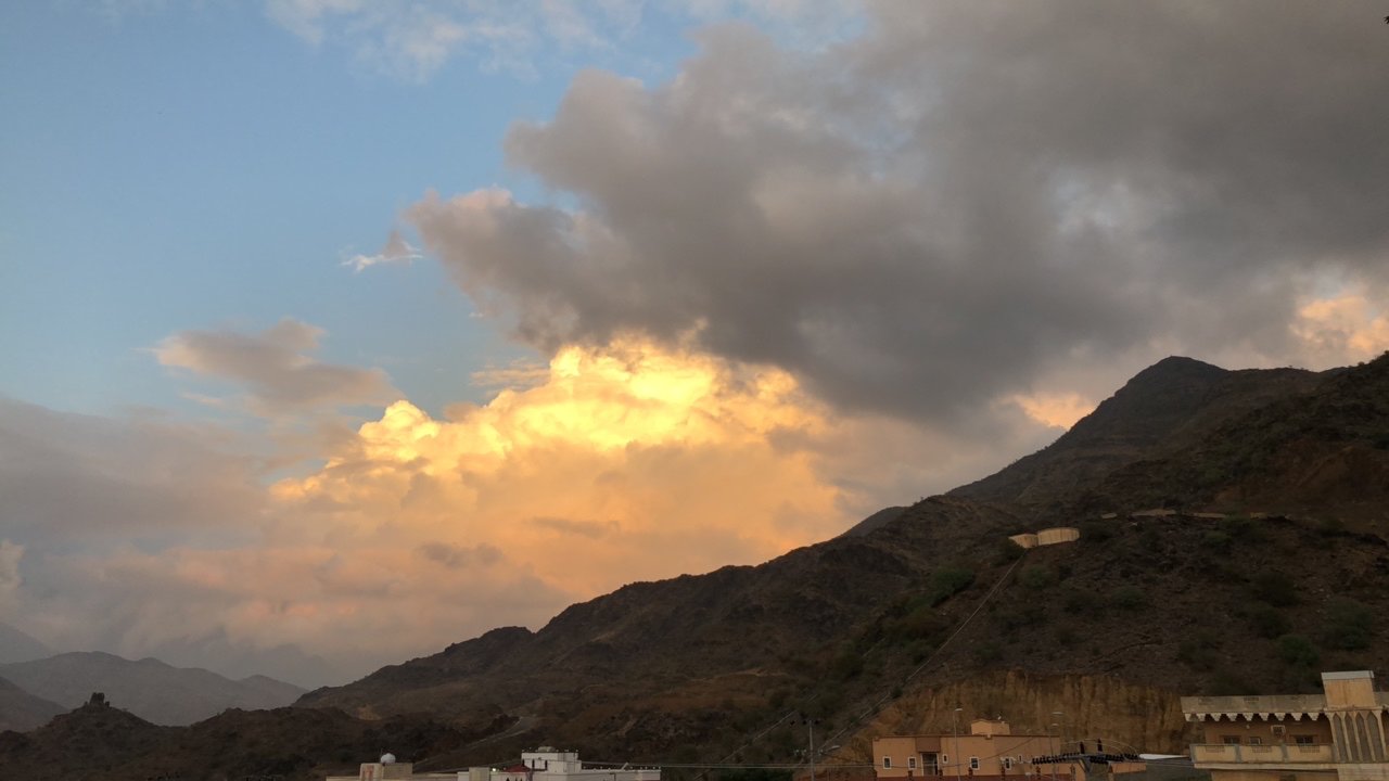 مشاركاتي في أنت الراصد