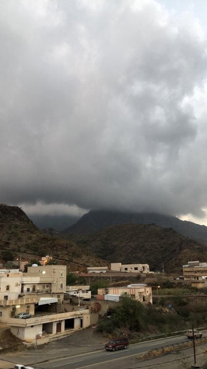 مشاركاتي في أنت الراصد