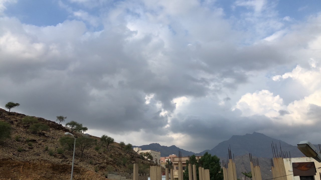 مشاركاتي في أنت الراصد