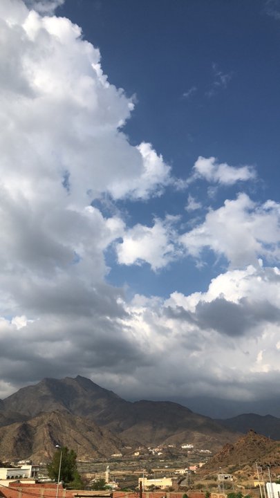 مشاركاتي في أنت الراصد