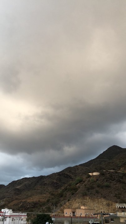 مشاركاتي في أنت الراصد