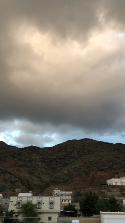 مشاركاتي في أنت الراصد