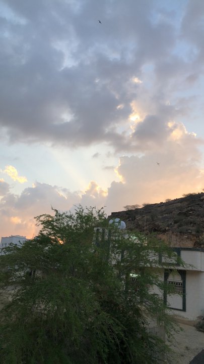 مشاركاتي في أنت الراصد