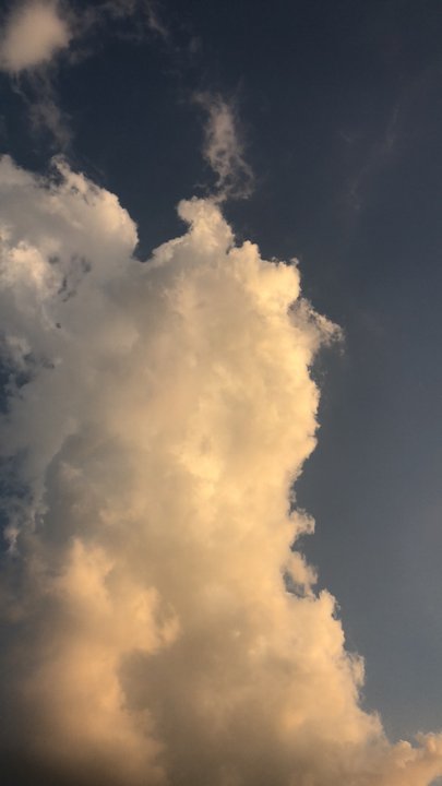 مشاركاتي في أنت الراصد