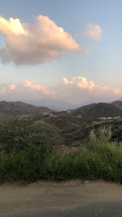 مشاركاتي في أنت الراصد