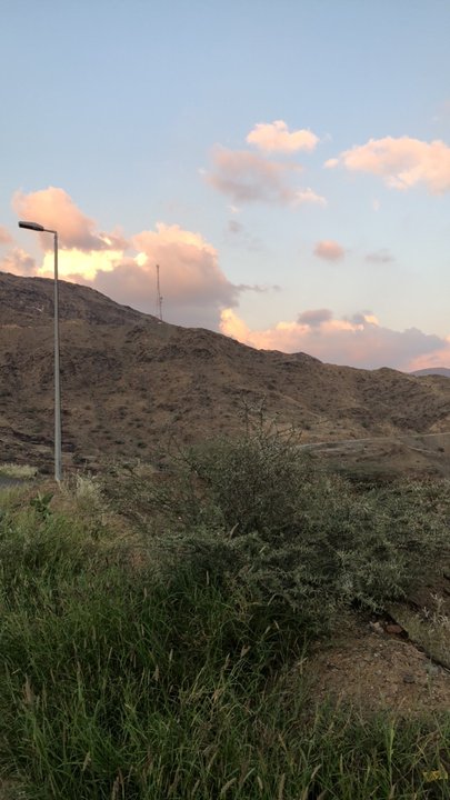 مشاركاتي في أنت الراصد