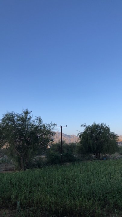 مشاركاتي في أنت الراصد